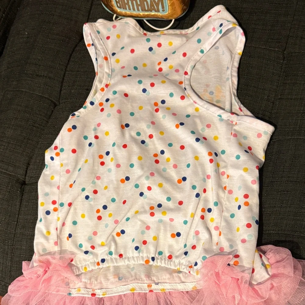 Birthday Babe Dog Tank Top with Pink Ruffle and Happy Birthday Crown